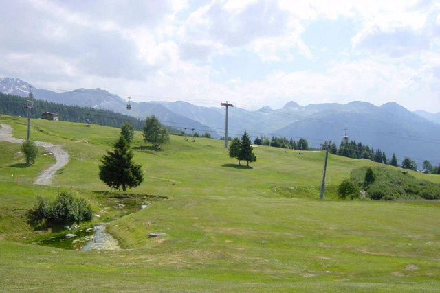 golfcourse