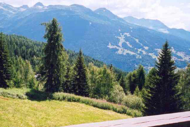 view-summer