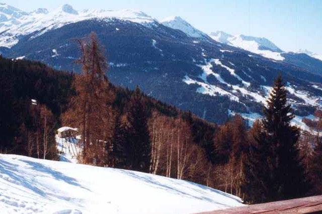view-winter